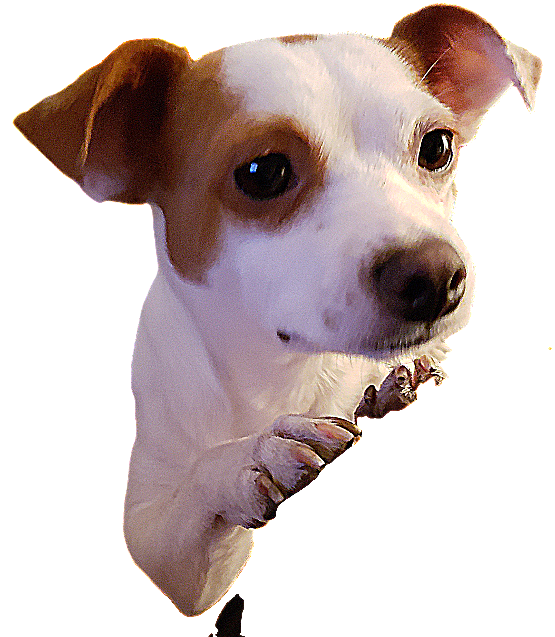 Favicon